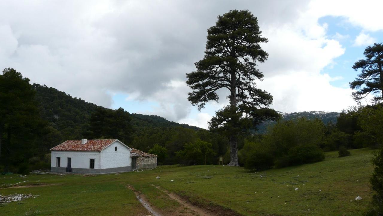 Villa Forastera Arroyo Frio Eksteriør billede